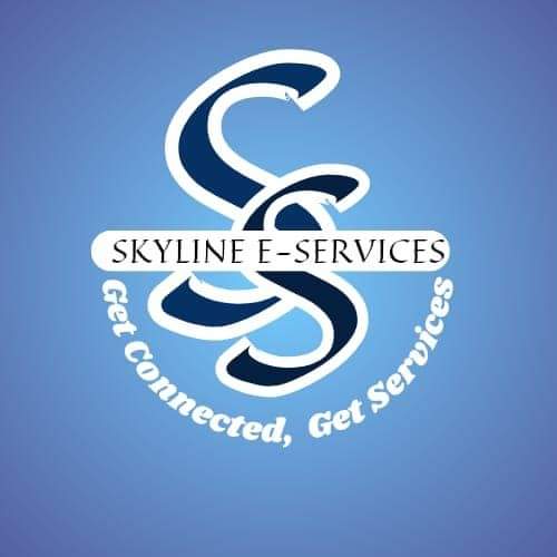 Skylineservice.net